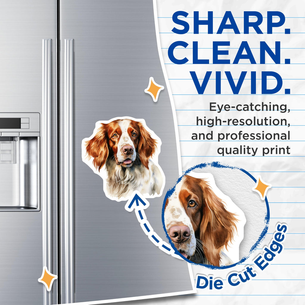 (2 Pack) Springer Spaniel Magnets - Dog Mom Decor - Pet Owner Display - 5 Inches On Longest Side - Thick Durable Magnet - Made in USA - MAG28988