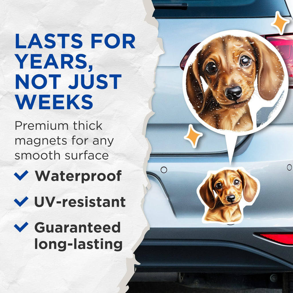 (2 Pack) Dachshund Magnets - Cute Wiener Dog Art Decor - Puppy Face Pet Lover Fridge Refrigerator Supplies - 5 Inches On Longest Side - Thick Durable Magnet - Made in USA - MAG27784