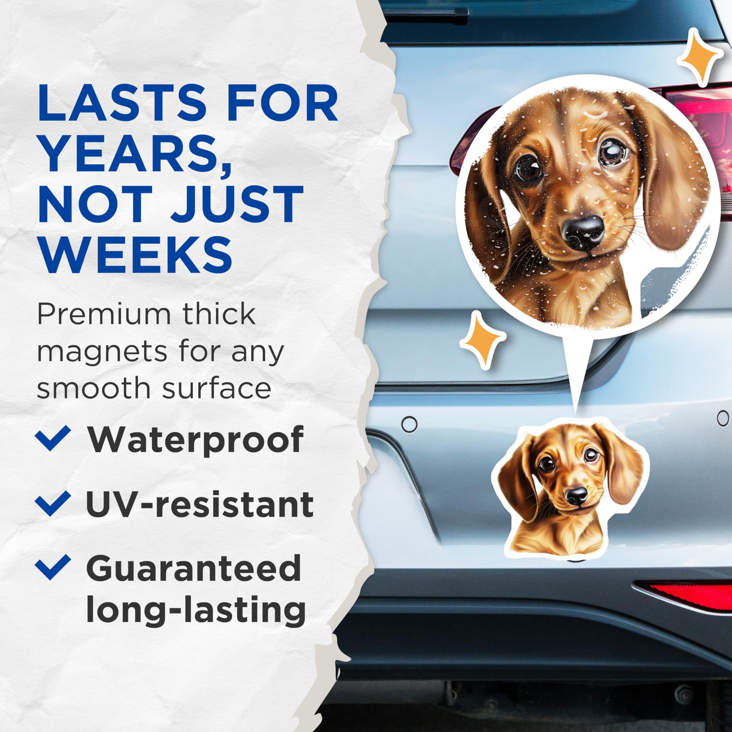 (2 Pack) Dachshund Magnets - Cute Wiener Dog Art Decor - Puppy Face Pet Lover Fridge Refrigerator Supplies - 5 Inches On Longest Side - Thick Durable Magnet - Made in USA - MAG27784