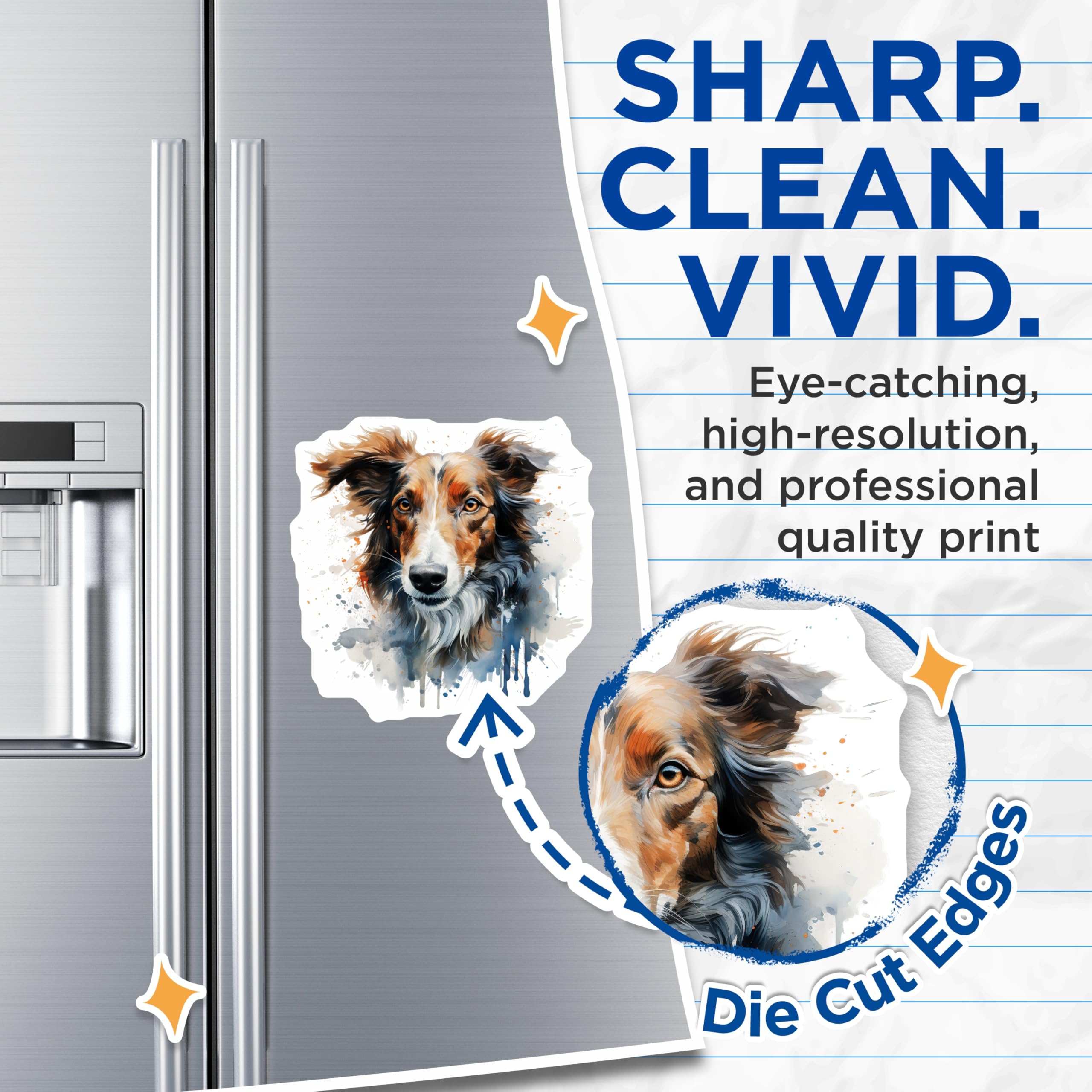 (2 Pack) Border Collie Magnets - Watercolor Dog Art - Pet Animal Lover - 5 Inches On Longest Side - Thick Durable Magnet - Made in USA - MAG24491