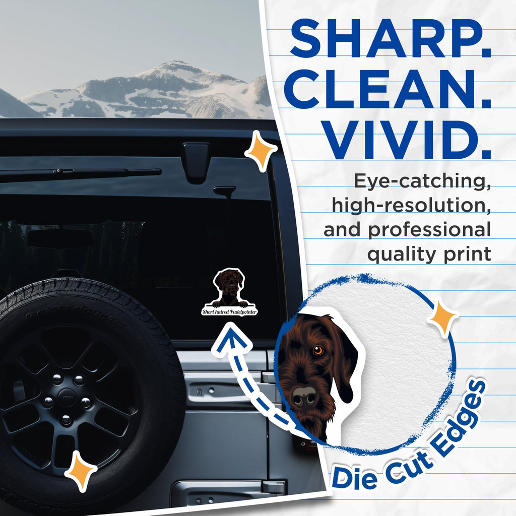 (2 Pack) Short Haired Pudelpointer Stickers - Cute Dog Decal - Animal Lover Stickers - 5" On Longest Side - Sticks to Smooth Flat Surfaces - Made in USA - BMCS4228