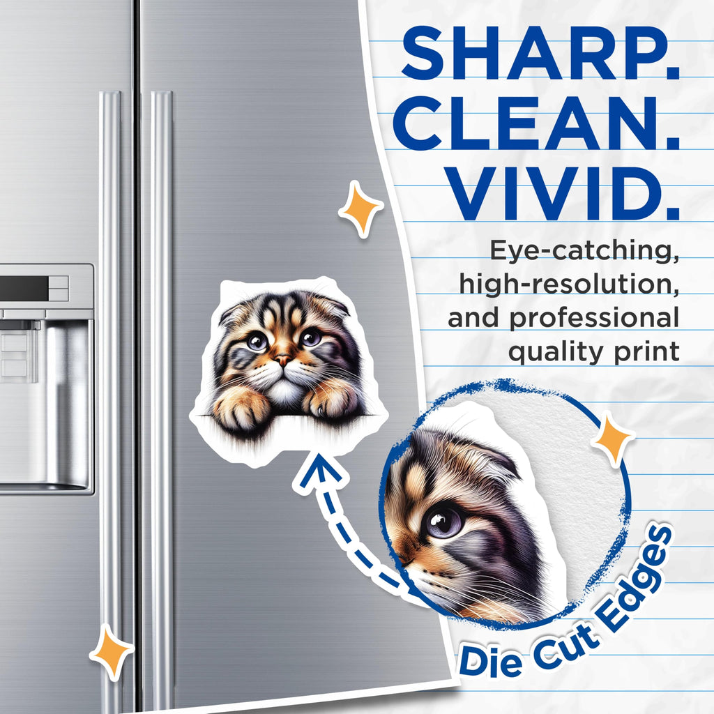 (2 Pack) Scottish Fold Cat Magnets - Adorable Kitten Fridge Decor - Cute Cat Lover Present - 5" On Longest Side - Premium Magnet - for Cars, Refrigerators, Toolboxes, Lockers - Made in USA - MAG15088
