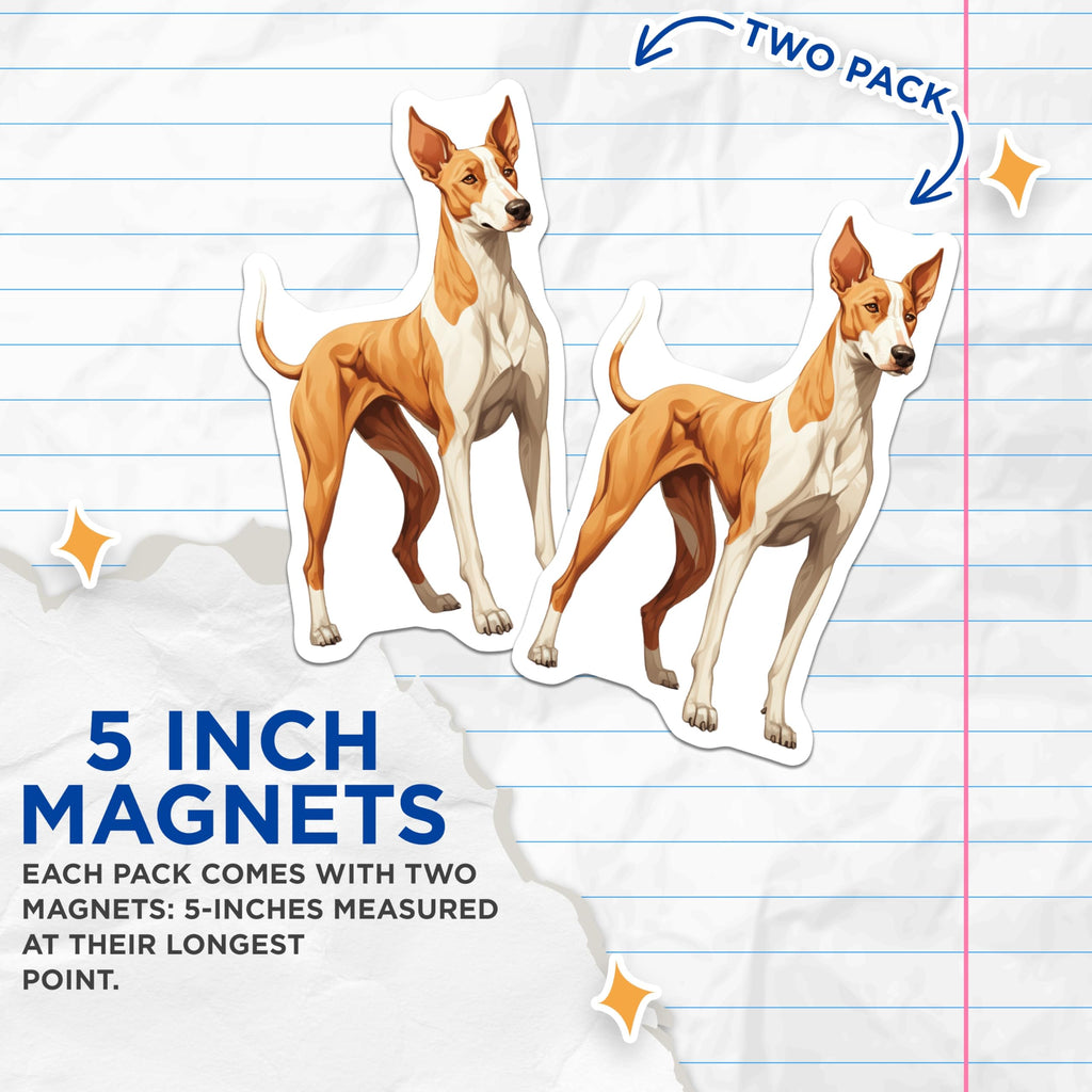 (2 Pack) Podenco Dog Magnets - Ibizan Hound Art - Sighthound Breed Decor - Pet Lover Refrigerator Magnet - 5 Inches On Longest Side - Thick Durable Magnet - Made in USA - MAG24254
