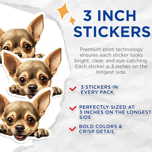 (3 Pack) Chihuahua Decals - Cute Dog Stickers - Laptop Decal Art - 3 Inches On Longest Side - Easy Peel & Apply - Made in USA - 3MCS8692