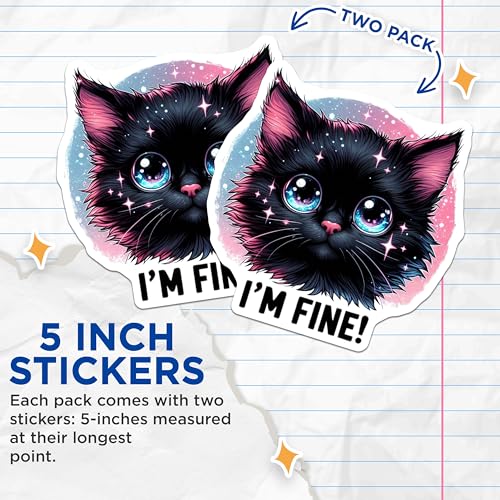 (2 Pack) Cat Stickers - Cute Cat Art - Funny Cat Sticker - 5" On Longest Side - Sticks to Smooth Flat Surfaces - Made in USA - BMCS4594