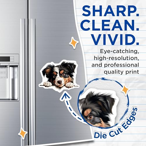 (2 Pack) Pet Lover Home Decor Magnet - 5" On Longest Side - Sticks to Smooth Flat Surfaces - Made in USA - MAG10226