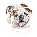 (2 Pack) English Bulldog Magnets - Cute Bulldog Puppy - Pet Lover Fridge Decor Dog Owner Present - 5 Inches On Longest Side - Thick Durable Magnet - Made in USA - MAG29219
