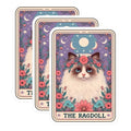 (3 Pack) Ragdoll Cat Decals - Floral Crown Sticker - Celestial Kitty Art - 3 Inches On Longest Side - Easy Peel & Apply - Made in USA - 3MCS4045