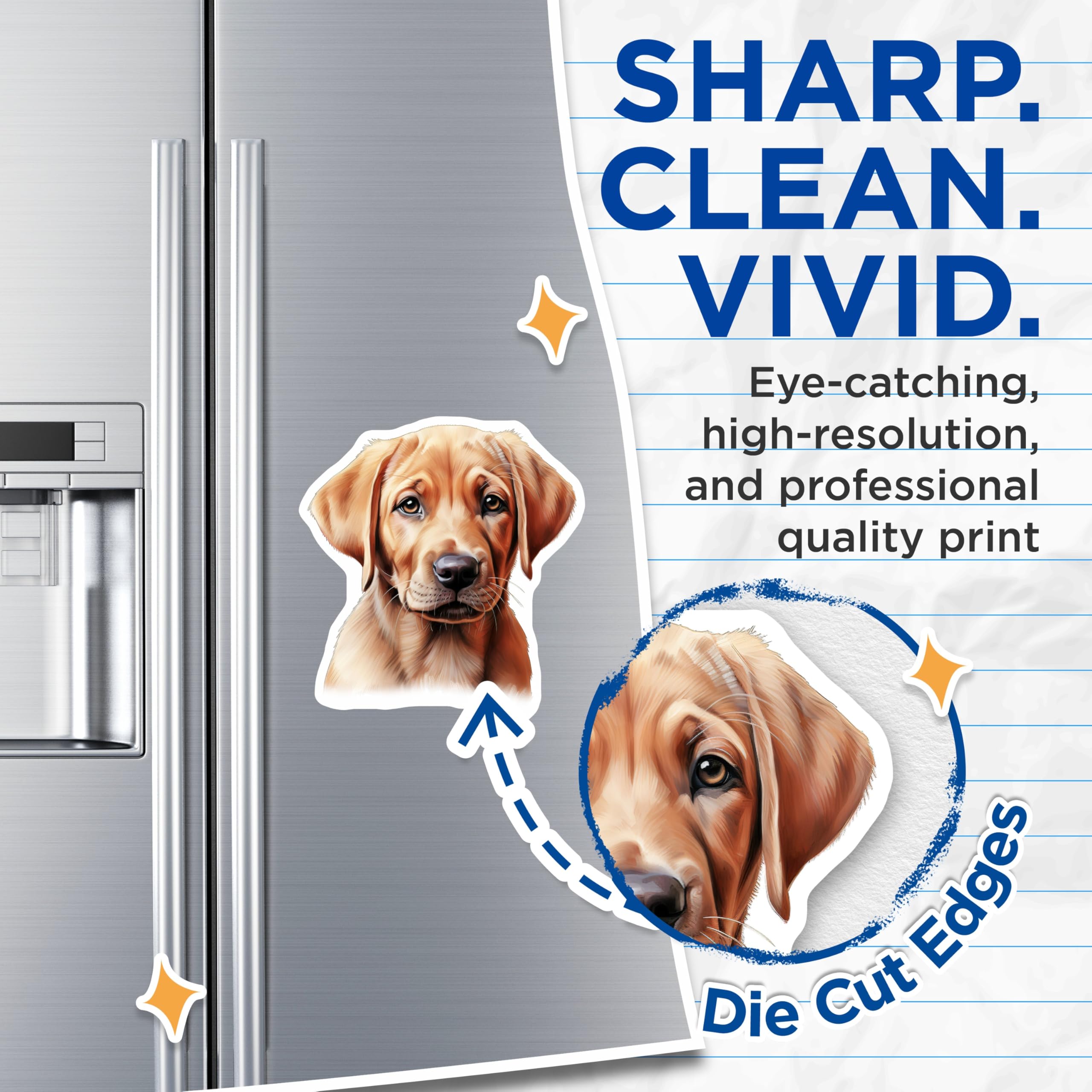 (2 Pack) Golden Retriever Puppy Magnets - Dog Lover Decor - Cute Labrador Fridge Accessory - Pet Owner Home Art - 5 Inches On Longest Side - Thick Durable Magnet - Made in USA - MAG29515