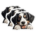 (3 Pack) Bernese Mountain Dog Decals - Cute Dog Stickers - Puppy Laptop Decal - 3 Inches On Longest Side - Easy Peel & Apply - Made in USA - 3MCS8598