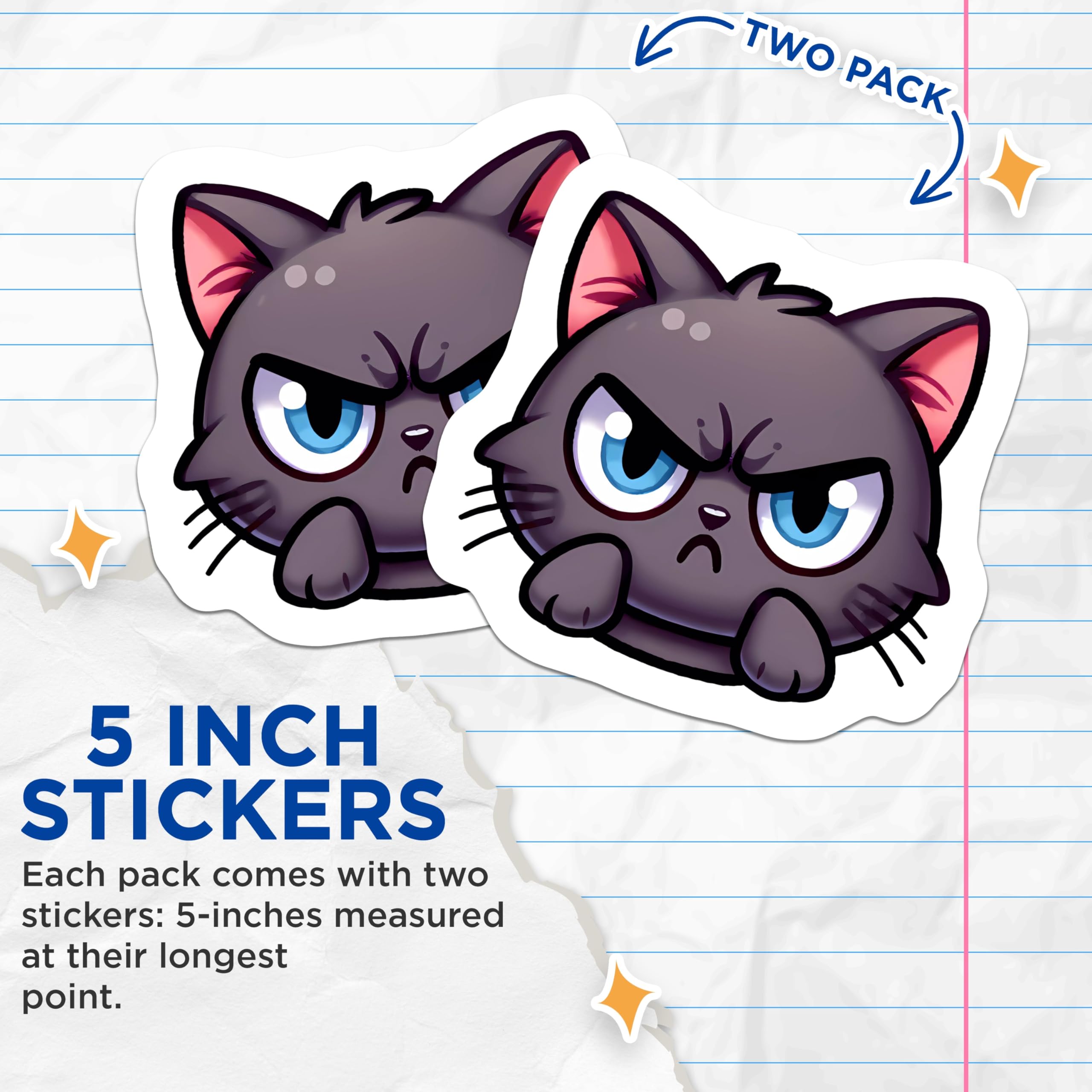 (2 Pack) Angry Cat Stickers - Grumpy Feline - Cartoon Kitty - 5" On Longest Side - Sticks to Smooth Flat Surfaces - Made in USA - BMCS20964