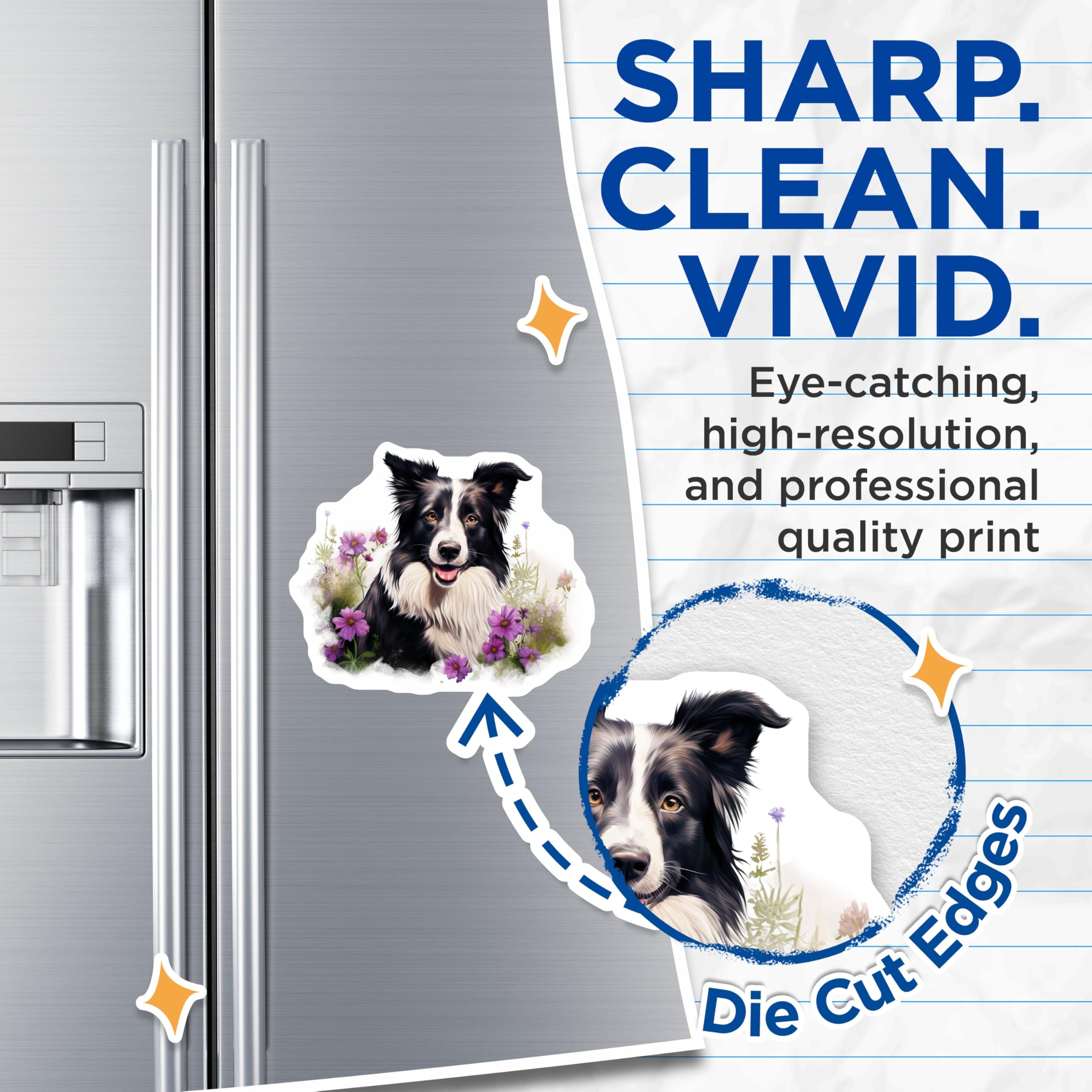 (2 Pack) Border Collie Magnets - Dog Lover Magnets - Floral Pet Decor Fridge Whiteboard - 5 Inches On Longest Side - Thick Durable Magnet - Made in USA - MAG27795