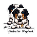 (2 Pack) Australian Shepherd Magnets - Dog Lover Gifts - Fridge - Pet Owner Home Magnet - 5" On Longest Side - for Cars, Fridges, Toolboxes - Made in USA - MAG4218