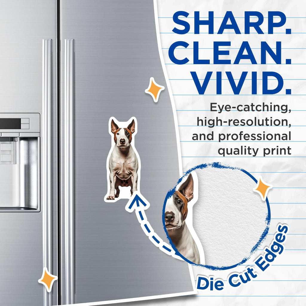 (2 Pack) Bull Terrier Magnets - Staffy Dog Lover Decor - Refrigerator Display - Pet Owner Accessory - 5 Inches On Longest Side - Thick Durable Magnet - Made in USA - MAG27498
