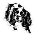 (2 Pack) Cavalier King Charles Spaniel Magnets - Dog Owner Decor - Pet Lover Refrigerator Accent - 5 Inches On Longest Side - Thick Durable Magnet - Made in USA - MAG37955