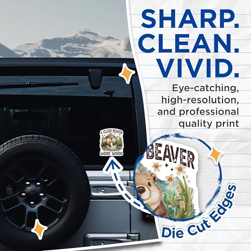 (2 Pack) Clean Beaver Stickers - Cute Animal Decal - Motivational Sticker - 5" On Longest Side - Sticks to Smooth Flat Surfaces - Made in USA - BMCS9560