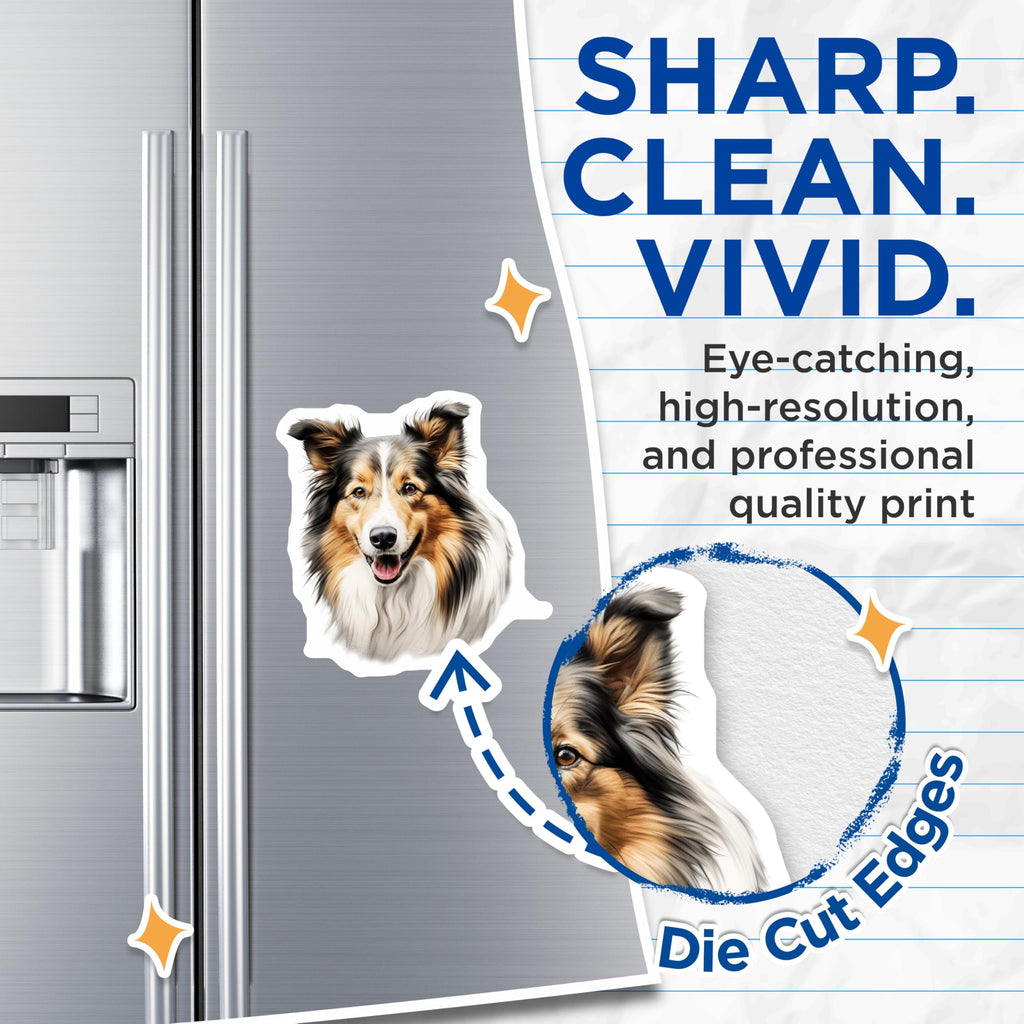 (2 Pack) Shetland Sheepdog Magnets - Rough Collie Art - Happy Dog Lover Decor - 5 Inches On Longest Side - Thick Durable Magnet - Made in USA - MAG28640