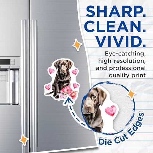(2 Pack) Labrador Love Magnets - Cute Dog Magnets - Heart and Roses Magnets - 5" On Longest Side - for Cars, Refrigerators, Toolboxes, Lockers - Made in USA BMCS3516