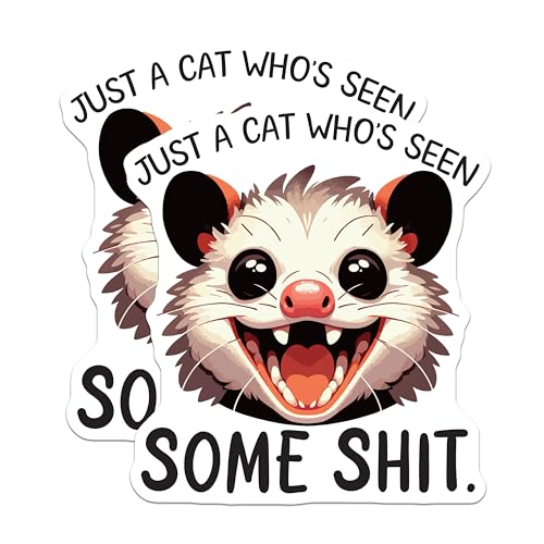 (2 Pack) Just a Cat Who's Seen Some Stuff Stickers - Funny Animal Stickers - Cute Possum Sticker - 5" On Longest Side - Sticks to Smooth Flat Surfaces - Made in USA - BMCS6082