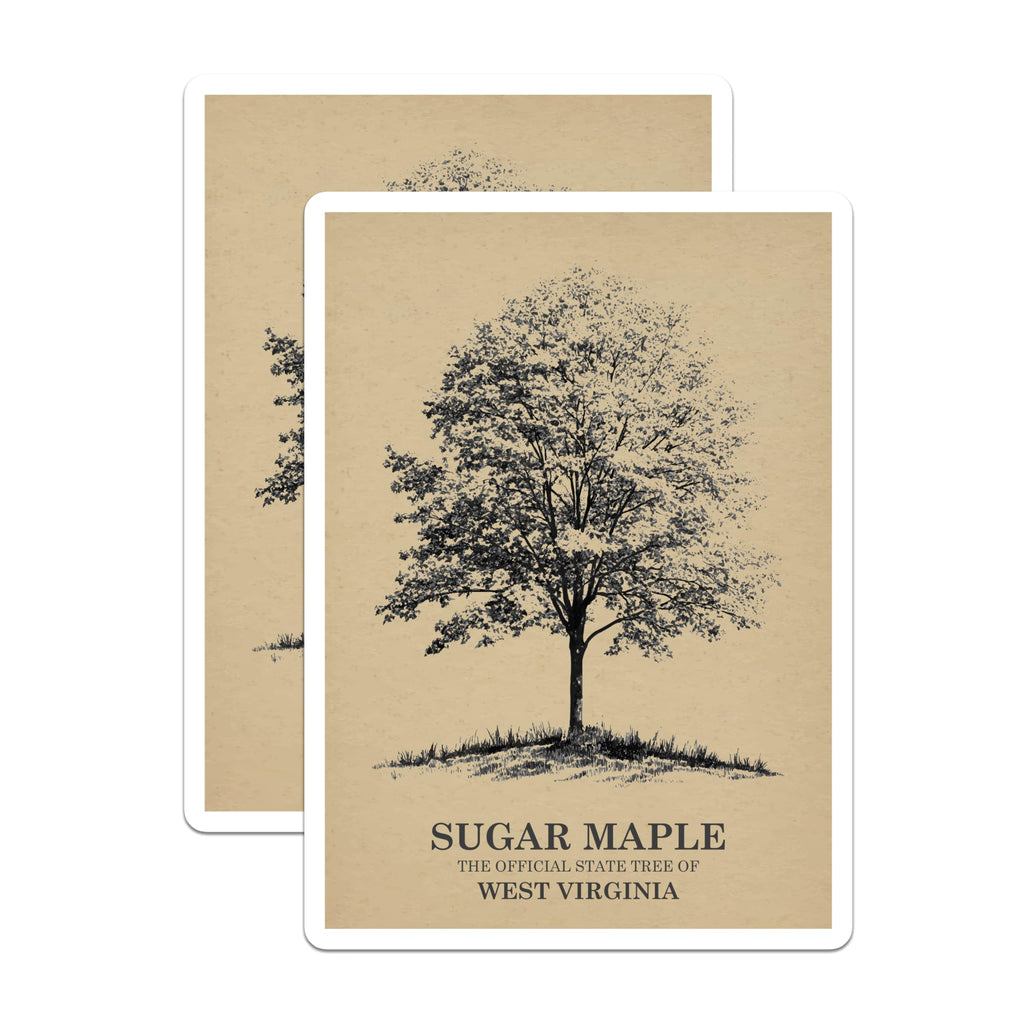 (2 Pack) Sugar Maple Tree Magnets - West Virginia State Tree - Botanical Fridge Decor - 5 Inches On Longest Side - Thick Durable Magnet - Made in USA - MAG19165