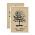 (2 Pack) Sugar Maple Tree Magnets - West Virginia State Tree - Botanical Fridge Decor - 5 Inches On Longest Side - Thick Durable Magnet - Made in USA - MAG19165