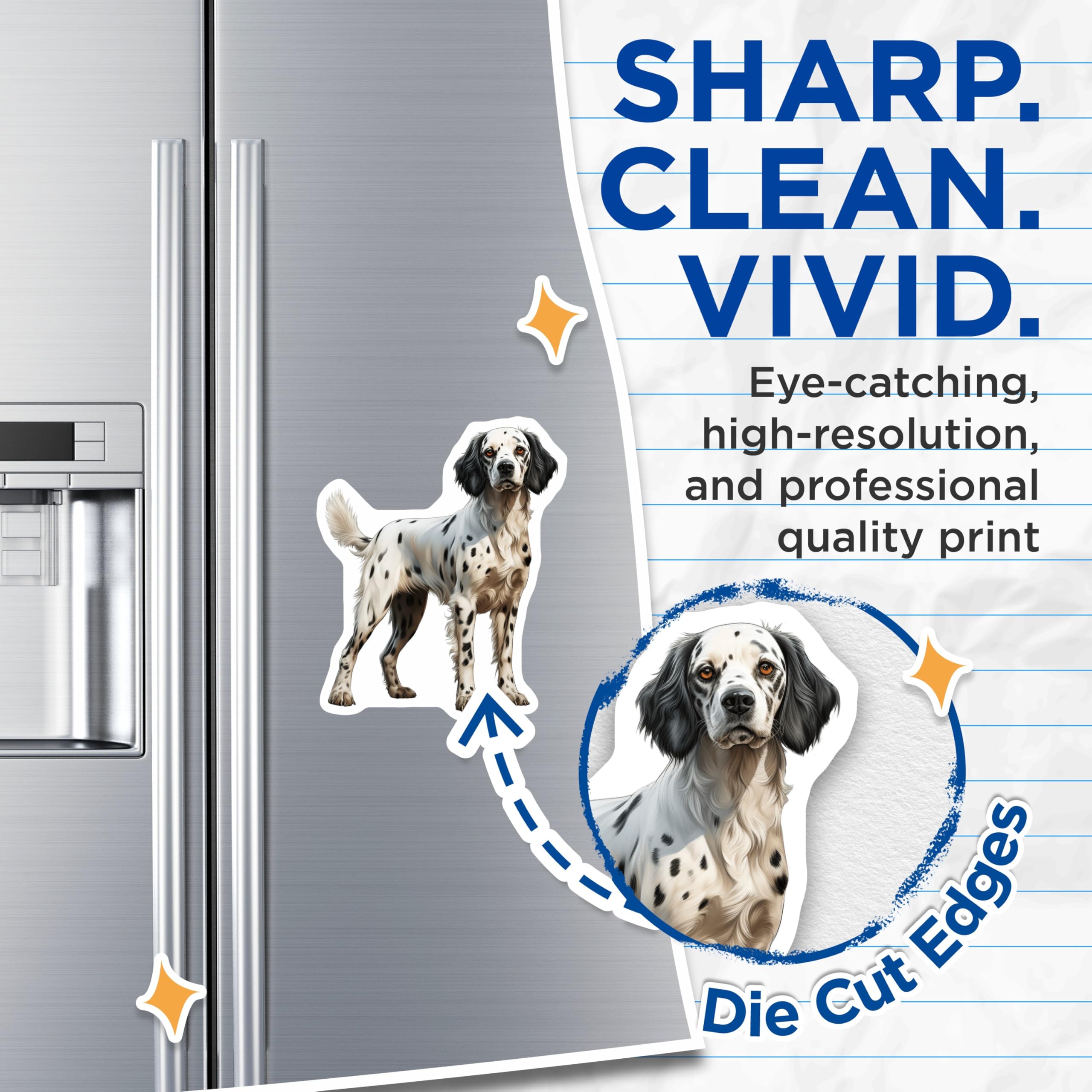 (2 Pack) English Setter Dog Magnets - Spotted Pet Refrigerator - Animal Lover Accents for Dog Owners - 5 Inches On Longest Side - Thick Durable Magnet - Made in USA - MAG29635