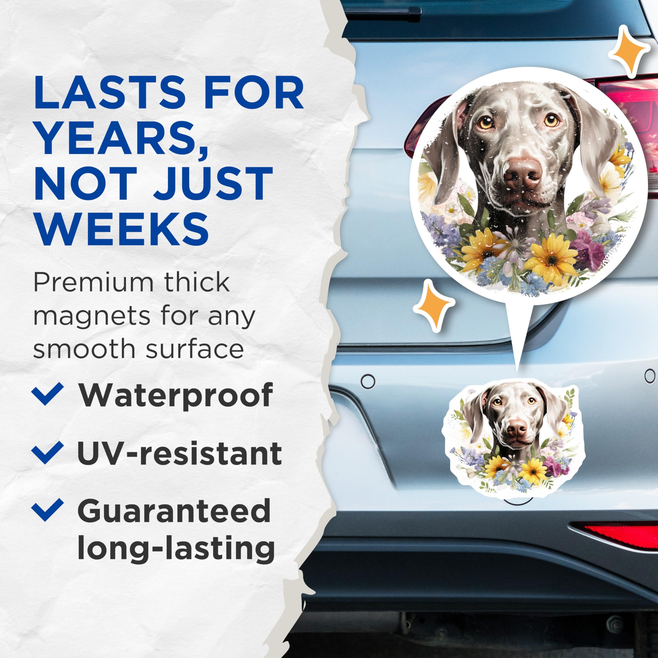 (2 Pack) Weimaraner Dog Magnets - Floral Weimaraner Art - Pet Lover Refrigerator Decor - Weim Mom Kitchen Decor - 5 Inches On Longest Side - Thick Durable Magnet - Made in USA - MAG27296