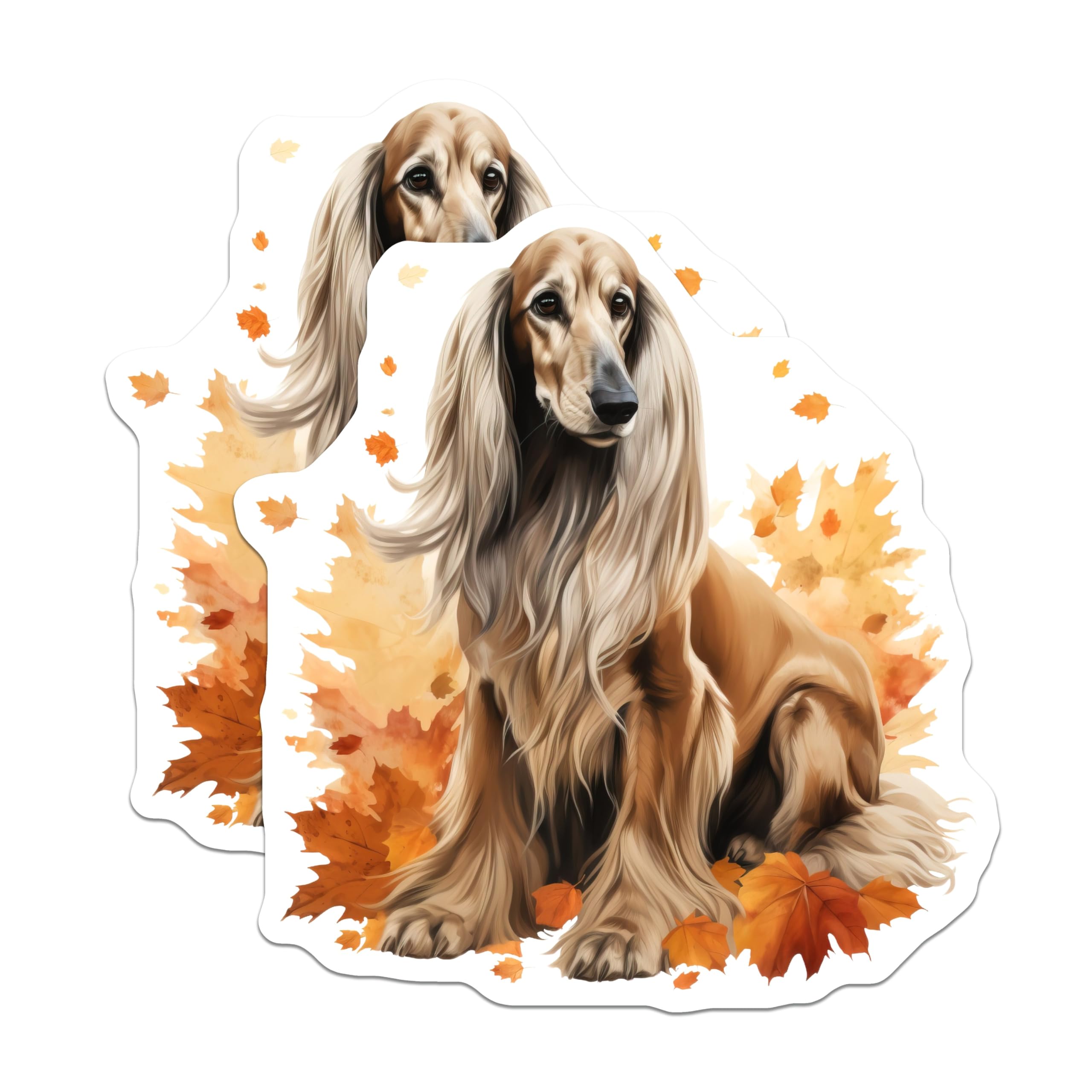 (2 Pack) Afghan Hound Dog Magnets - Autumn Fall Pet Lover Decor - Elegant Canine Artwork - 5 Inches On Longest Side - Thick Durable Magnet - Made in USA - MAG27696
