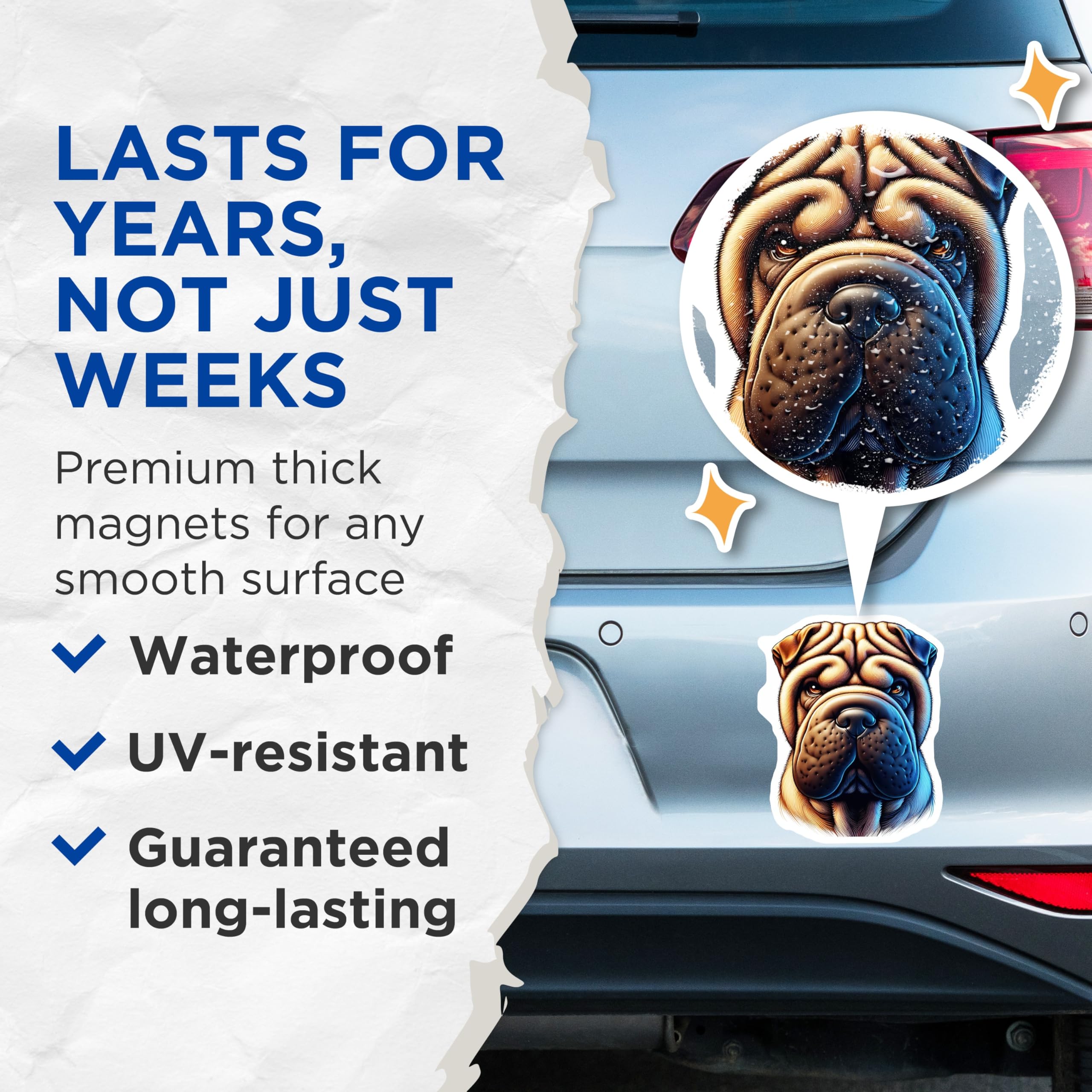 (2 Pack) Shar-Pei Dog Magnets - Wrinkled Dog Breed - Cute Canine Decor - 5" On Longest Side - Premium Magnet - for Cars, Refrigerators, Toolboxes, Lockers - Made in USA - MAG15776