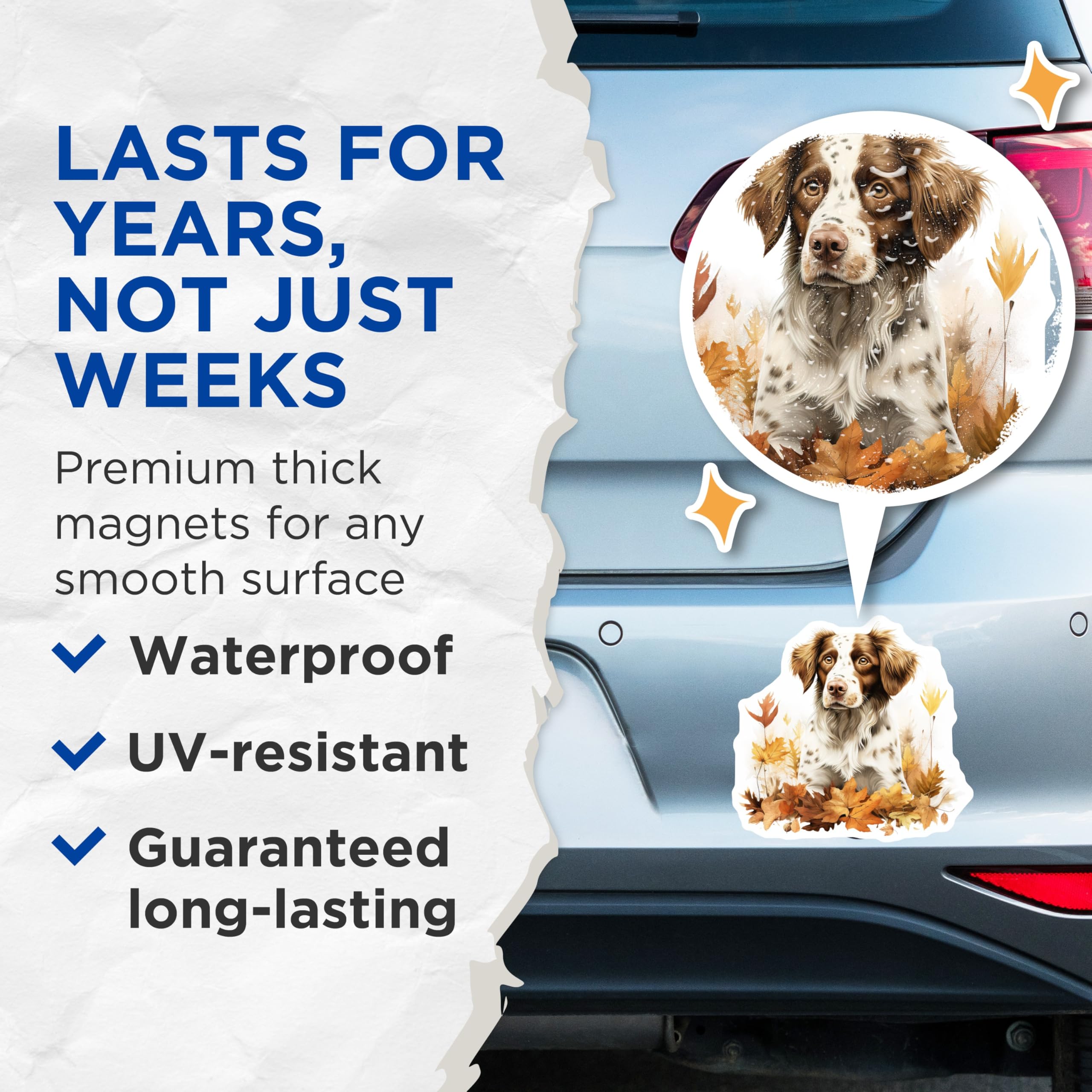 (2 Pack) Brittany Spaniel Dog Magnets - Fall Leaves Decor - Dog Lover Refrigerator Magnet - 5 Inches On Longest Side - Thick Durable Magnet - Made in USA - MAG29345
