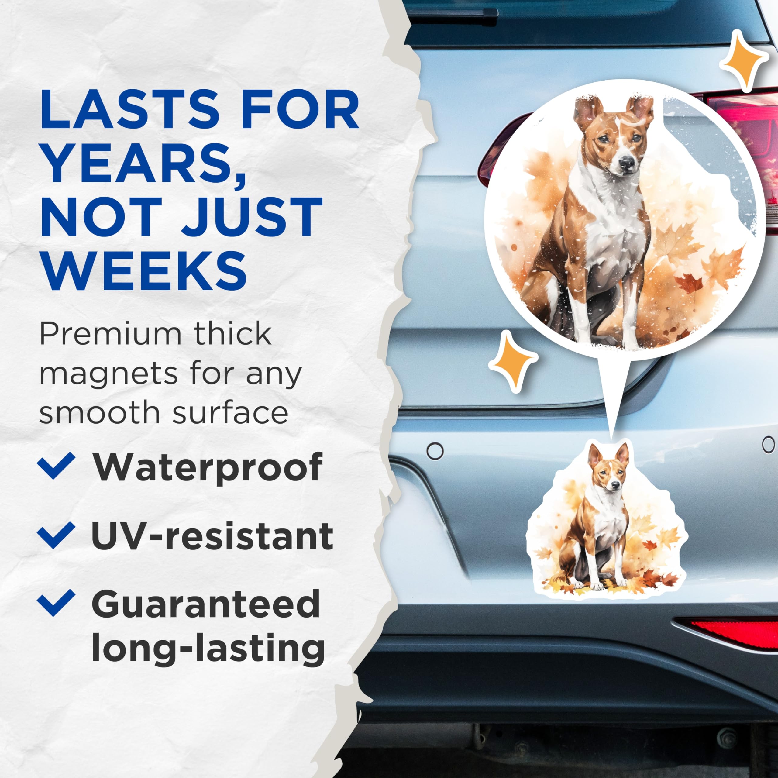 (2 Pack) Basenji Dog Magnets - Watercolor Fall Leaves - Autumn Canine Art Decor - 5 Inches On Longest Side - Thick Durable Magnet - Made in USA - MAG25468