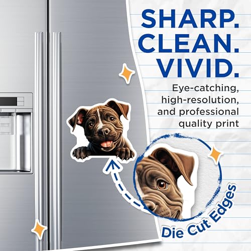 (2 Pack) Animal Lover Decor Magnet - 5" On Longest Side - Sticks to Smooth Flat Surfaces - Made in USA - MAG10288