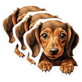 (3 Pack) Dachshund Puppy Decals - Cute Dog - Laptop Decal - 3 Inches On Longest Side - Easy Peel & Apply - Made in USA - 3MCS8711
