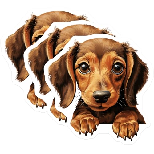 (3 Pack) Dachshund Puppy Decals - Cute Dog - Laptop Decal - 3 Inches On Longest Side - Easy Peel & Apply - Made in USA - 3MCS8711