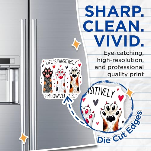 (2 Pack) Life is Pawsitively Meowvelous Magnet - Cute Kitchen Decoration - 5" On Longest Side - Sticks to Smooth Flat Surfaces - Made in USA - MAG9632