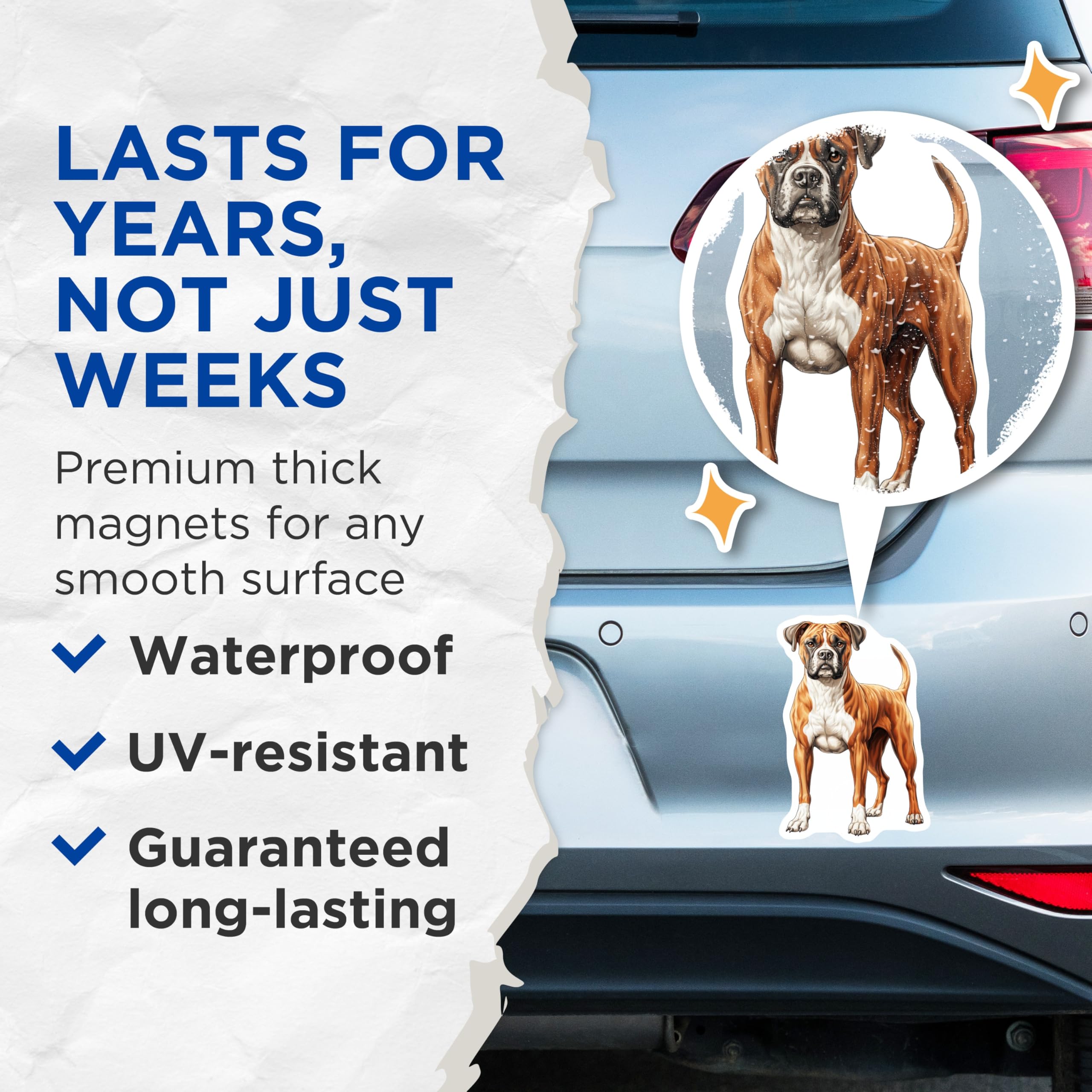 (2 Pack) Boxer Dog Magnets - Lifelike Brindle Fawn Canine Artwork - Pet Owner Refrigerator Locker Decor Accent - 5 Inches On Longest Side - Thick Durable Magnet - Made in USA - MAG24957