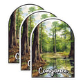 (3 Pack) Congaree National Park Decals - South Carolina Decal - Laptop Decal - 3 Inches On Longest Side - Easy Peel & Apply - Made in USA - 3MCS0431