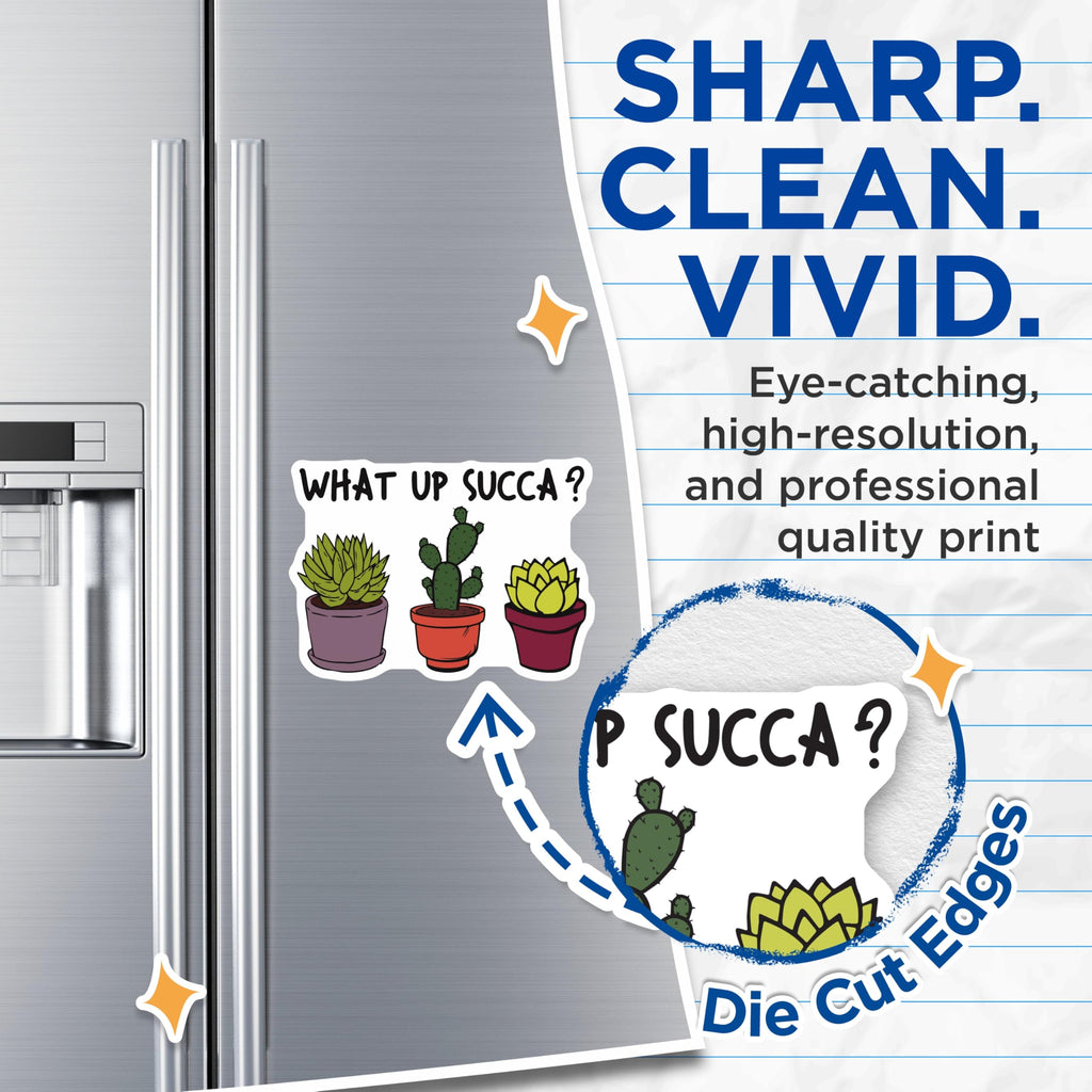 (2 Pack) What Up Succa Magnets - Funny Cactus - Succulent Lover Decor - 5" On Longest Side - Premium Magnet - for Cars, Refrigerators, Toolboxes, Lockers - Made in USA - MAG17283