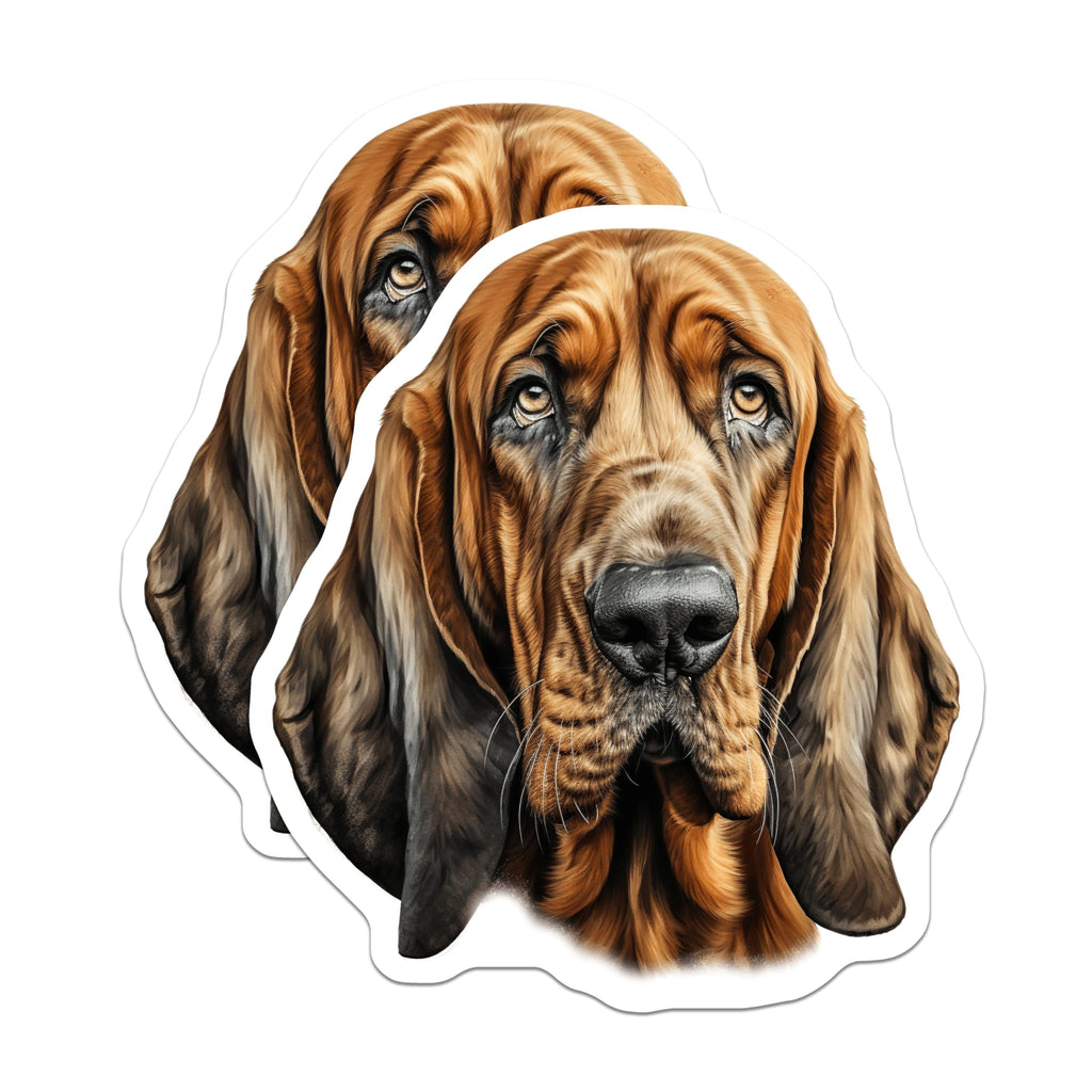 (2 Pack) Bloodhound Dog Magnets - Pet Lover Breed Art - Canine Enthusiast Decor for Fridge Locker - 5 Inches On Longest Side - Thick Durable Magnet - Made in USA - MAG28024