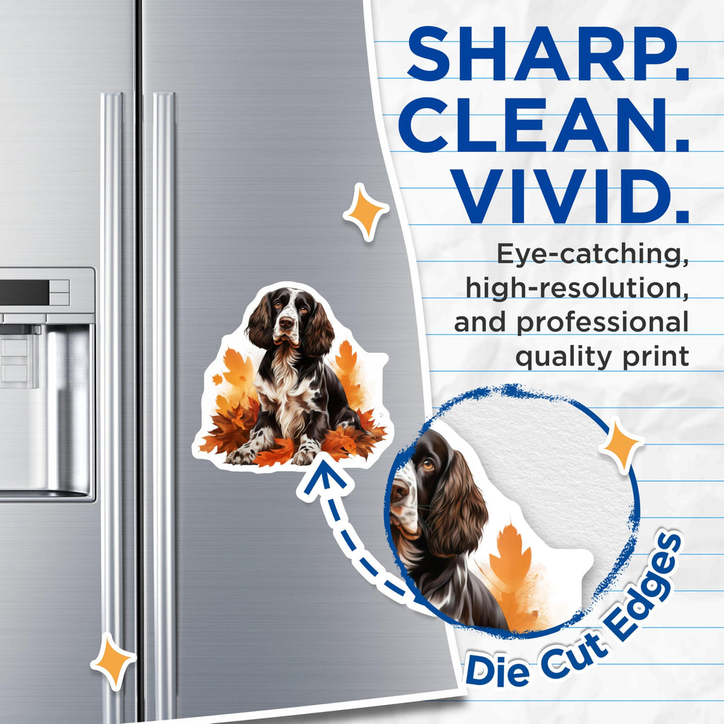 (2 Pack) Springer Spaniel Dog Magnets - Autumn Leaves Decor - Pet Lover Home Accessory - Fall Kitchen Fridge Art - 5 Inches On Longest Side - Thick Durable Magnet - Made in USA - MAG28088