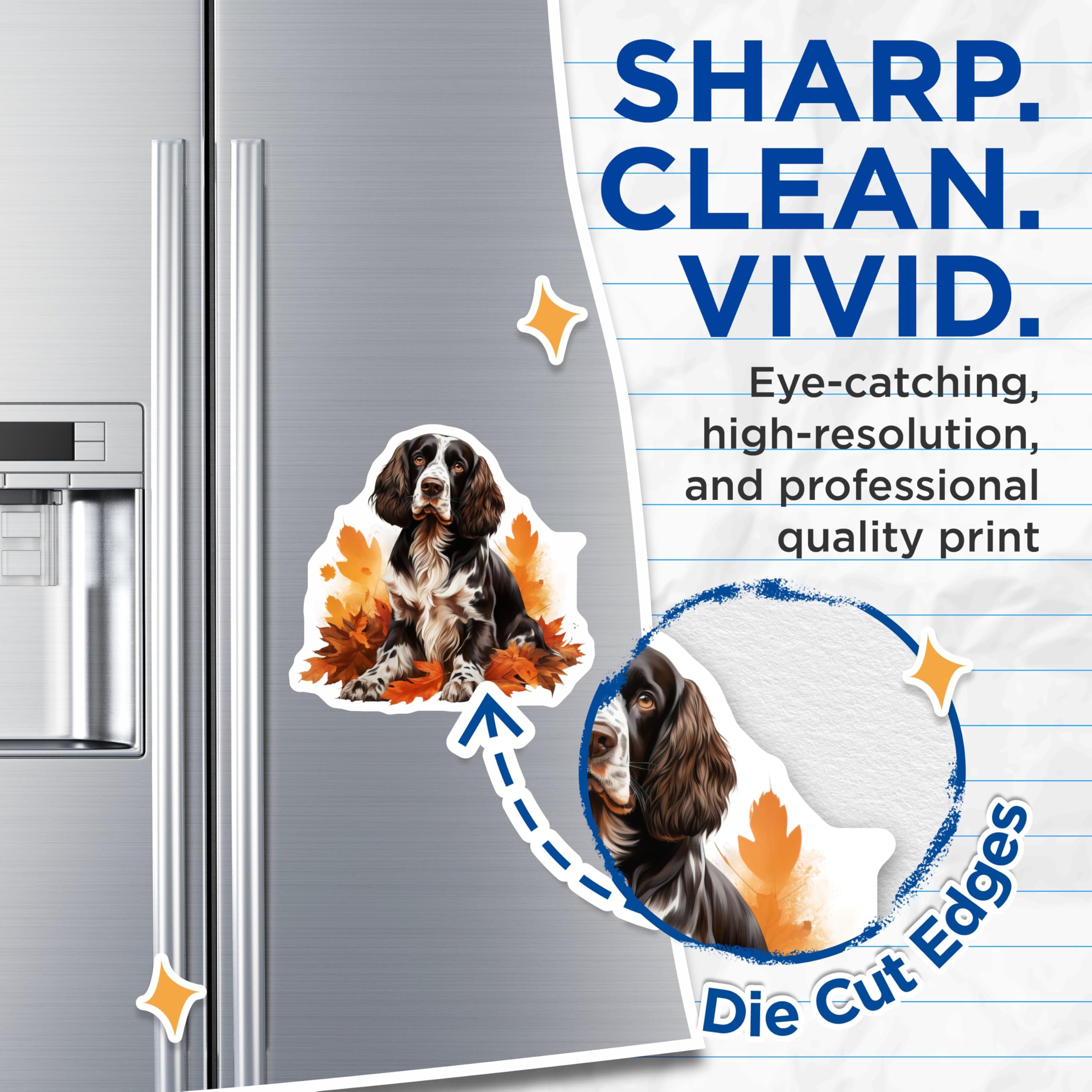 (2 Pack) Springer Spaniel Dog Magnets - Autumn Leaves Decor - Pet Lover Home Accessory - Fall Kitchen Fridge Art - 5 Inches On Longest Side - Thick Durable Magnet - Made in USA - MAG28088