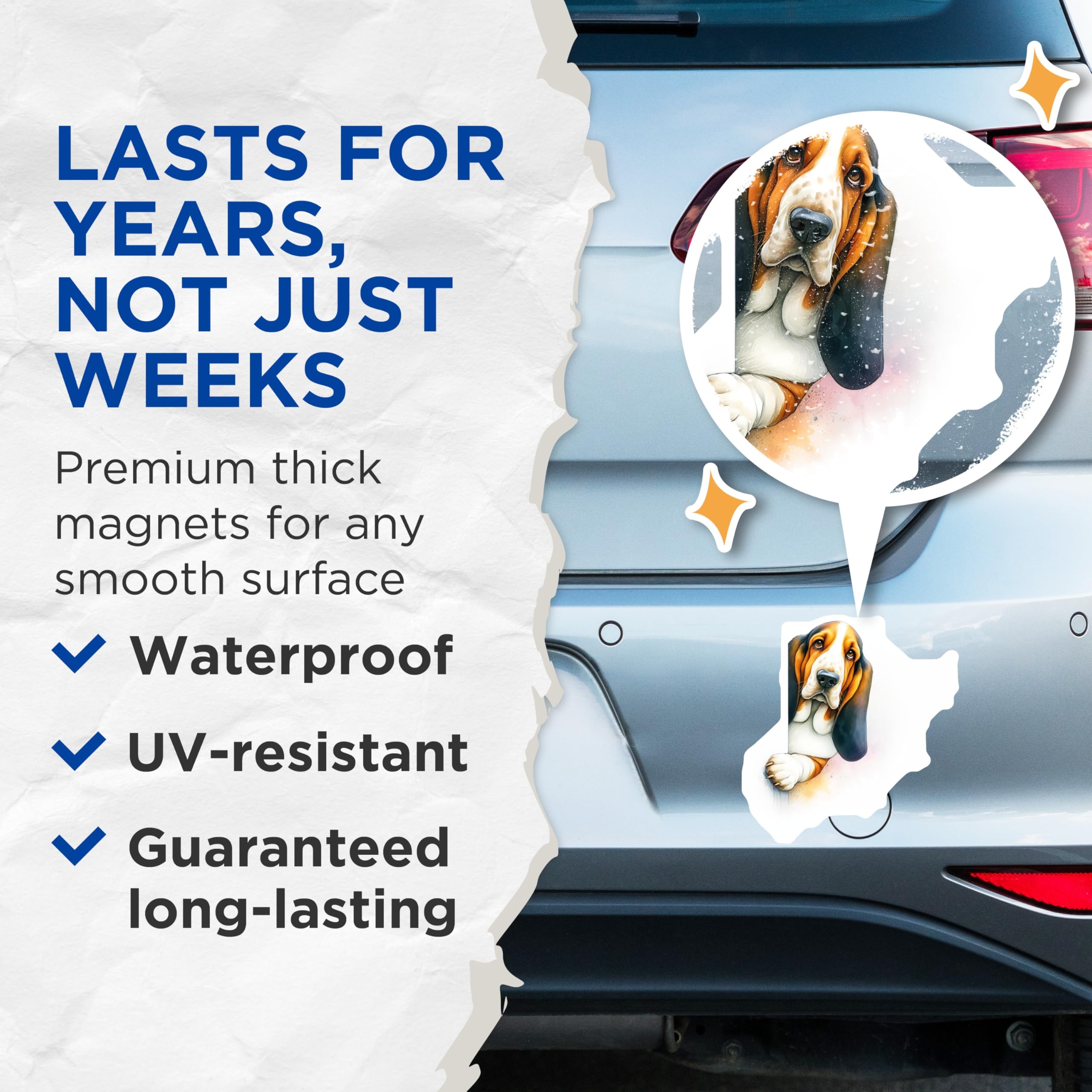 (2 Pack) Basset Hound Magnets - Dog Breed Decor - Funny Animal Fridge Magnets - 5" On Longest Side - Premium Magnet - for Cars, Refrigerators, Toolboxes, Lockers - Made in USA - MAG15139