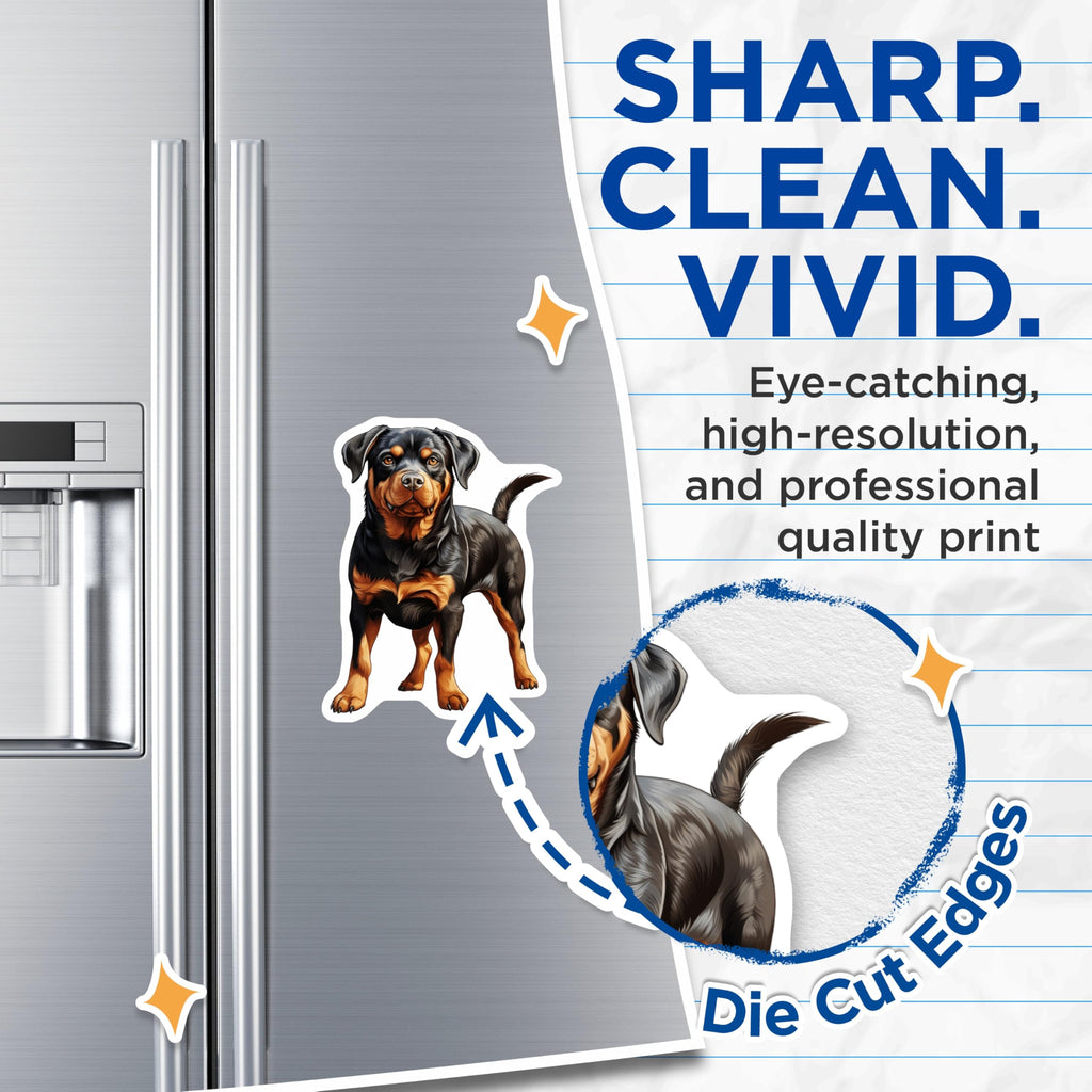 (2 Pack) Rottweiler Dog Magnets - Loyal Companion Fridge Decor - Dog Mom Pet Lover Kitchen Decor Magnets - 5 Inches On Longest Side - Thick Durable Magnet - Made in USA - MAG25694