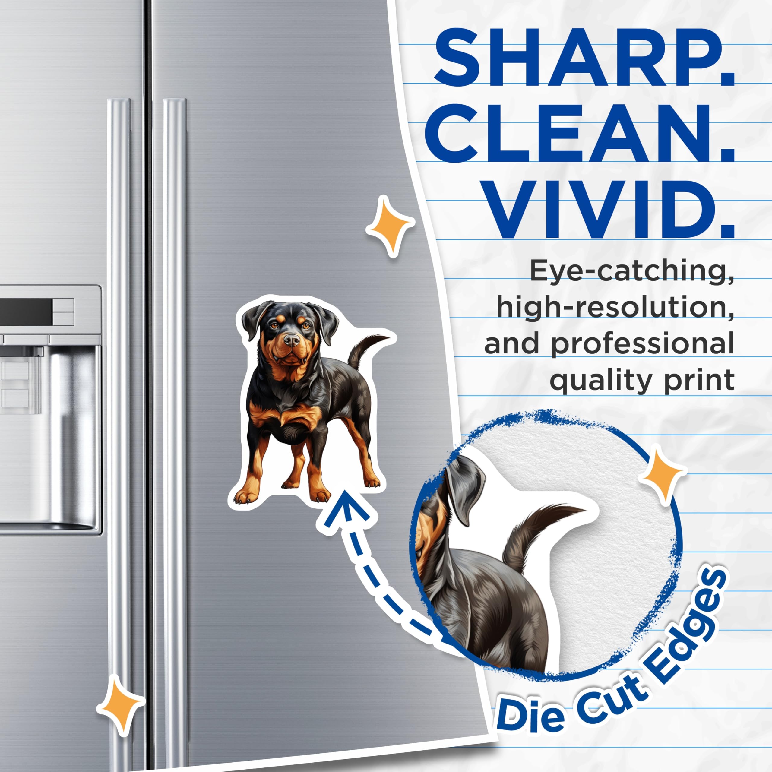 (2 Pack) Rottweiler Dog Magnets - Loyal Companion Fridge Decor - Dog Mom Pet Lover Kitchen Decor Magnets - 5 Inches On Longest Side - Thick Durable Magnet - Made in USA - MAG25694