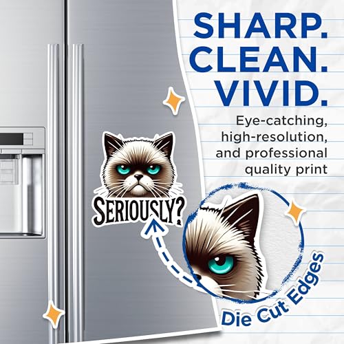 (2 Pack) Cat Meme Magnets - Seriously Funny Magnets - Humor Magnet Pack- 5" On Longest Side - for Fridges, Toolboxes, Cars - Made in USA - MAG2793