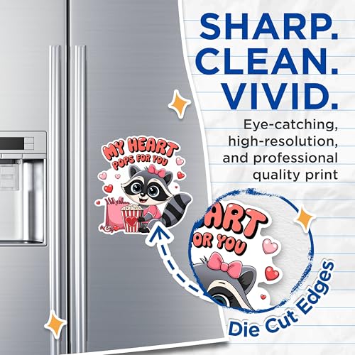 (2 Pack) My Heart Pops for You Magnets - Cute Raccoon - Valentine's Day - Love-Themed - 5" On Longest Side - for Fridges, Toolboxes, Cars - Made in USA - MAG3008