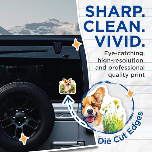 (2 Pack) Corgi Dog Stickers - Cute Pet Illustration - Adorable Cartoon Canine Stickers - 5" On Longest Side - Sticks to Smooth Flat Surfaces - Made in USA - BMCS6717