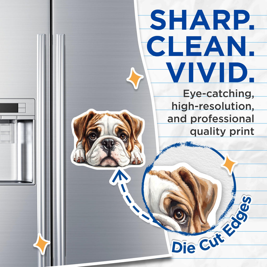 (2 Pack) Bulldog Magnets - Cute Dog Decor - Fridge Magnets - 5" On Longest Side - Premium Magnet - for Cars, Refrigerators, Toolboxes, Lockers - Made in USA - MAG15928