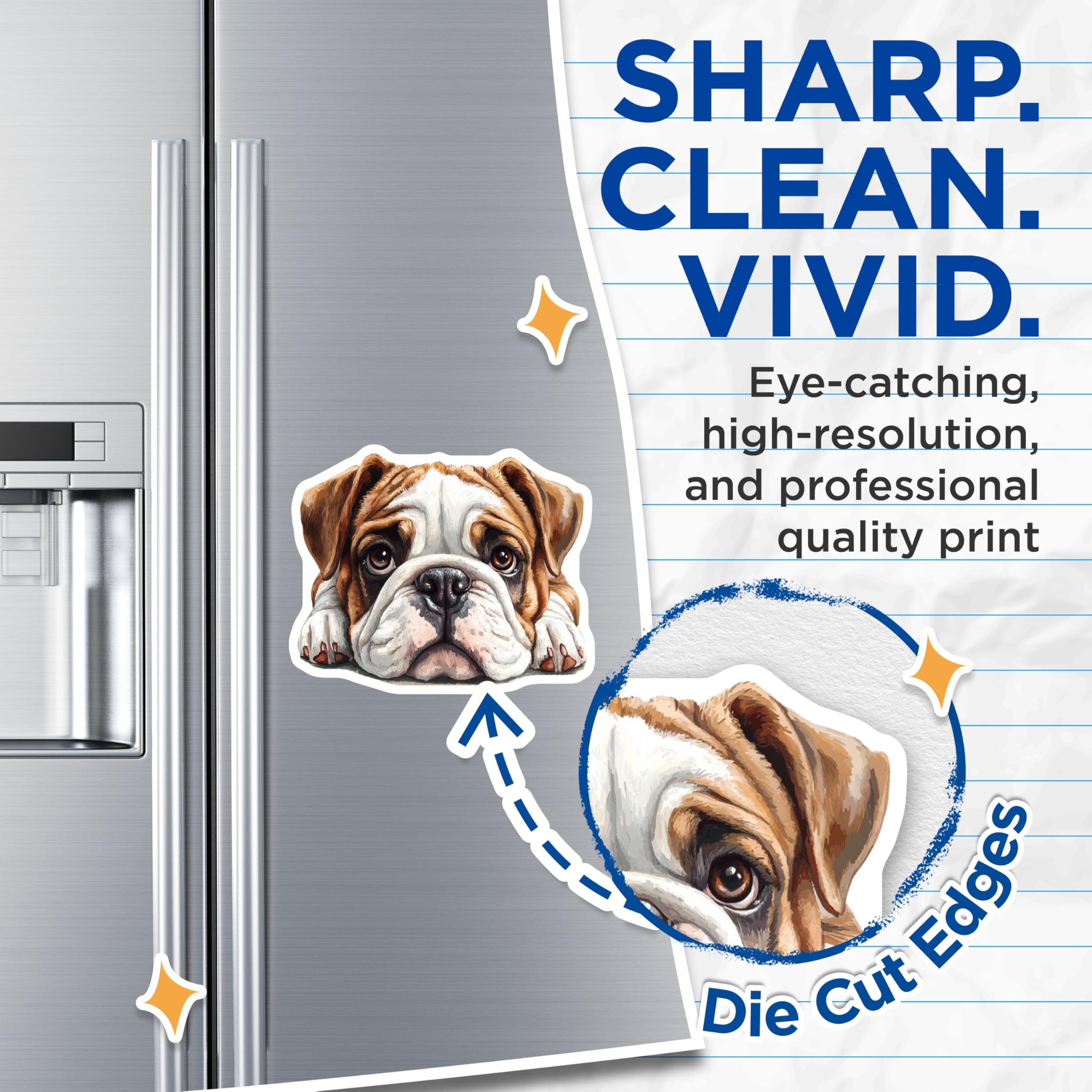(2 Pack) Bulldog Magnets - Cute Dog Decor - Fridge Magnets - 5" On Longest Side - Premium Magnet - for Cars, Refrigerators, Toolboxes, Lockers - Made in USA - MAG15928