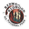(2 Pack) Redwood National Park Magnets - Vintage Forest Trees - California Travel Souvenir - 5 Inches On Longest Side - Thick Durable Magnet - Made in USA - MAG19386